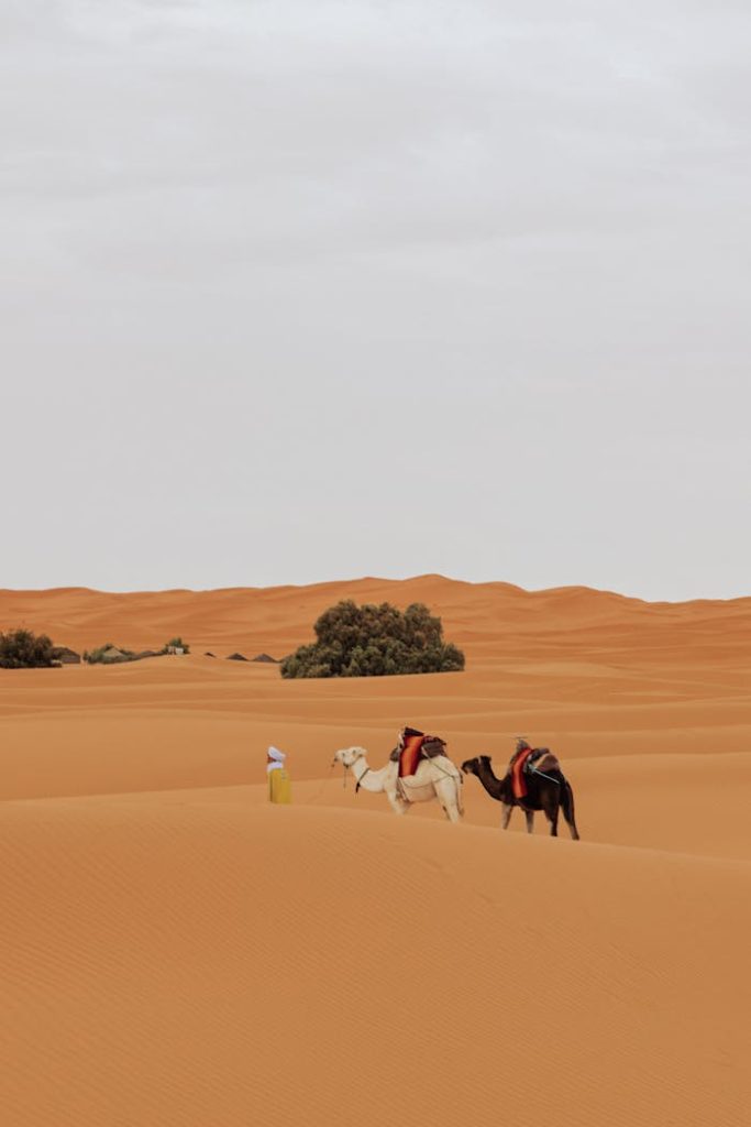 Tour de 3 Días desde Fez al Desierto de Merzouga