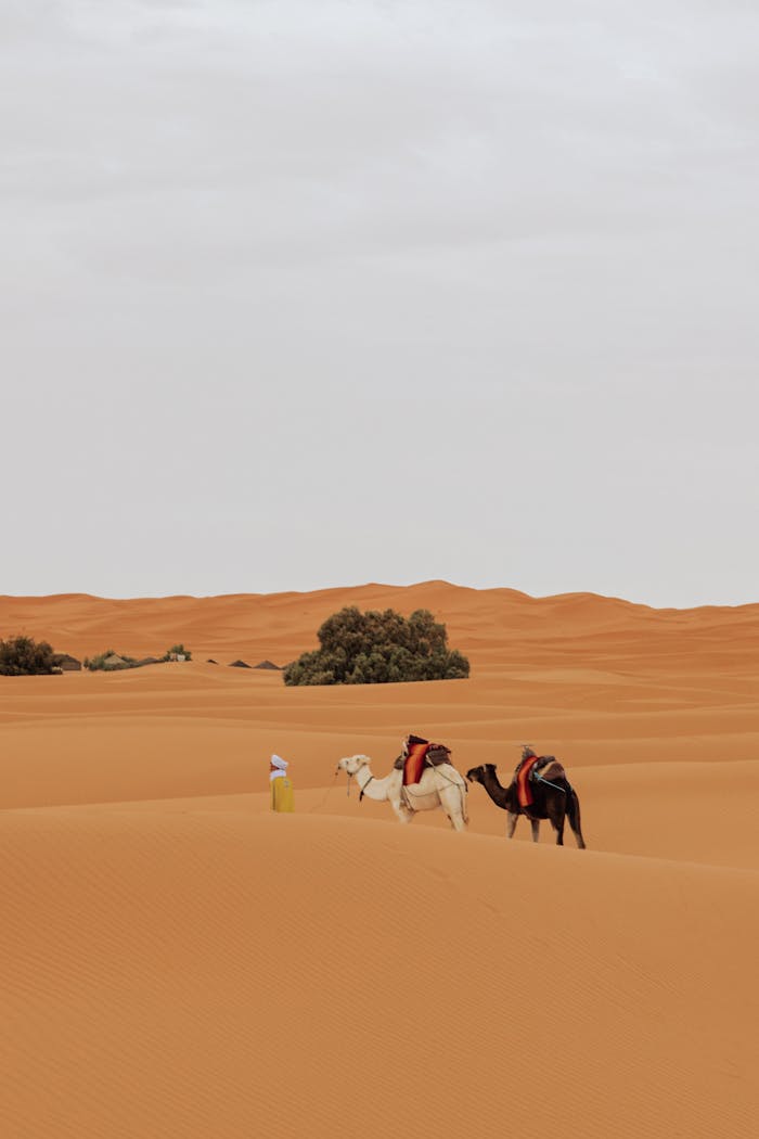 Tour de 3 Días desde Fez al Desierto de Merzouga