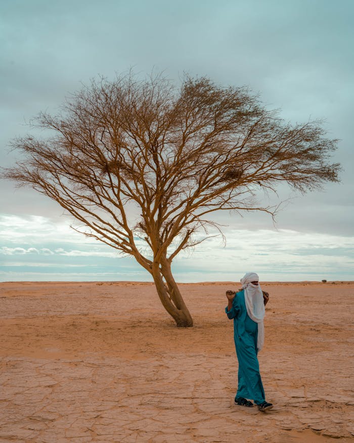 Solitary Tree in Desert Landscape with Person