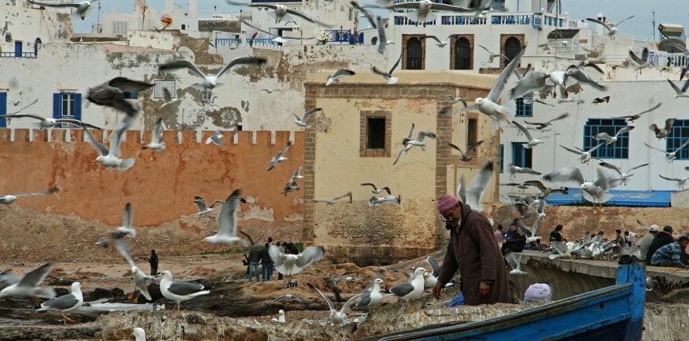 Excursión a Essaouira desde Marrakech