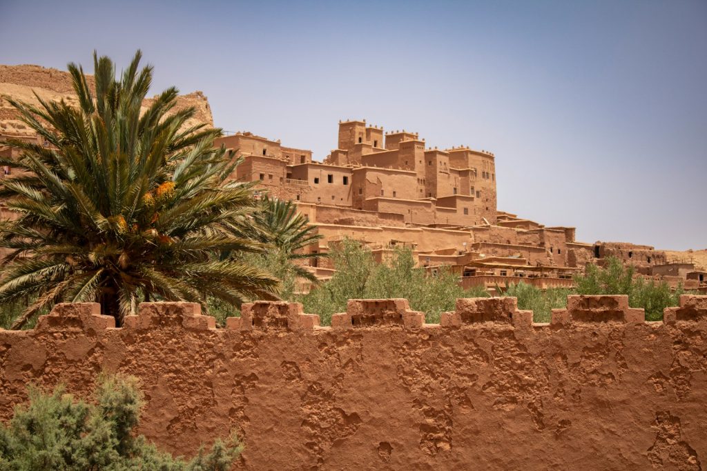 A desert landscape with a palm tree in the foreground